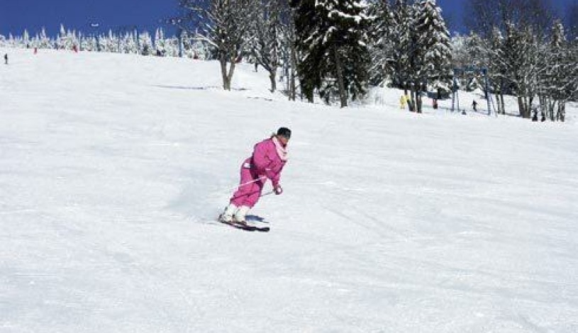 Pension Samohel  Rokytnice nad Jizerou